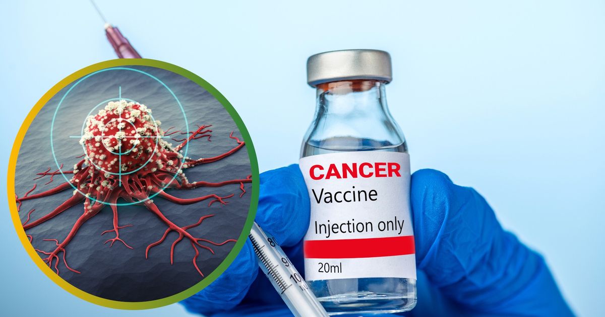 Prelom v liecbe rakoviny Vysledky novej vakcinie ohromili vedcov