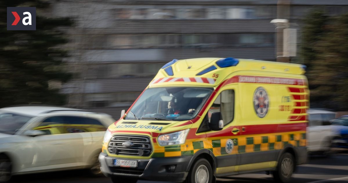 Sukromne verzus statne Kto ma riadit zachranky