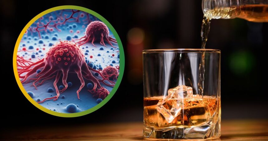 Alkohol je nebezpecny spustac rakoviny varuju vedci