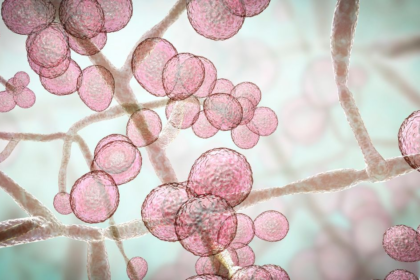 Europu ohrozuje novy zabijak Kto je v ohrozeni