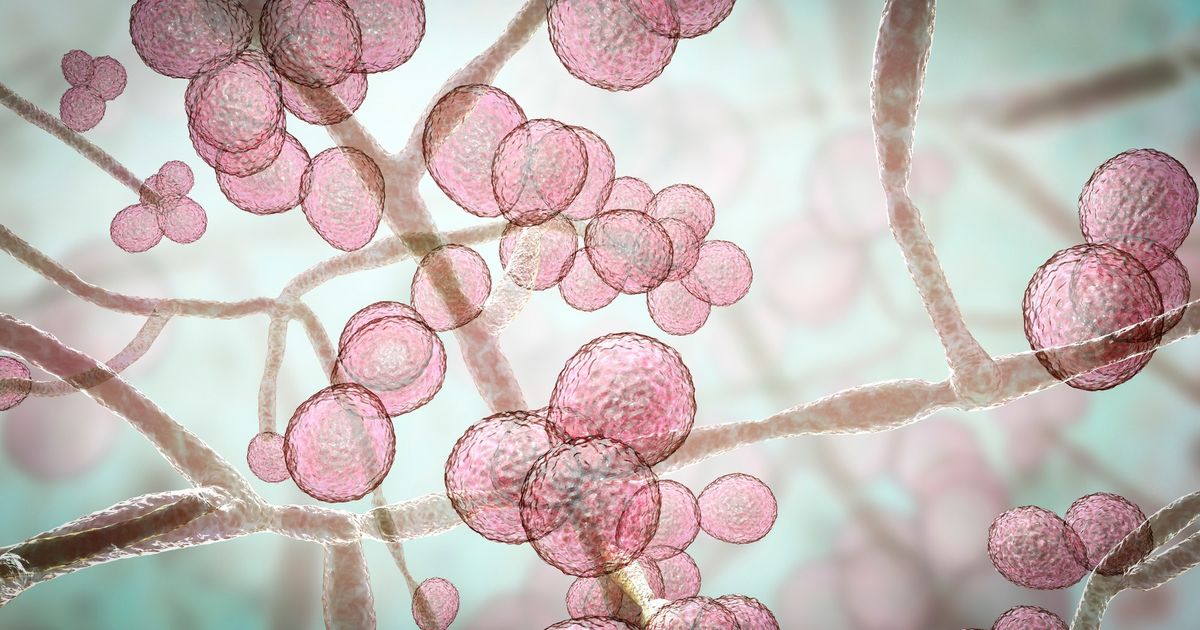 Europu ohrozuje novy zabijak Kto je v ohrozeni