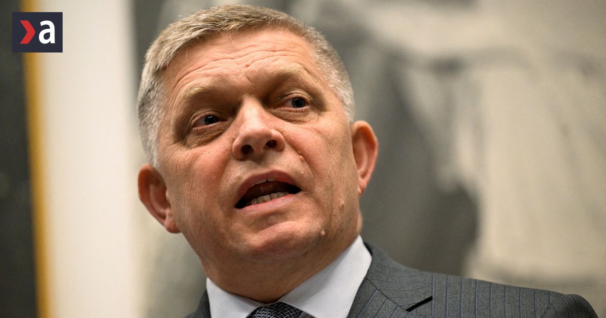 Cesi povazuju za nedemokraticke aby policia predviedla studenta protestujuceho proti Ficovi