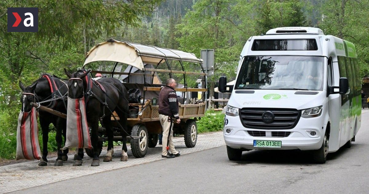 Greenpeace zablokovalo ministerstvo Interpol bojuje proti nelegalnemu odlesnovaniu