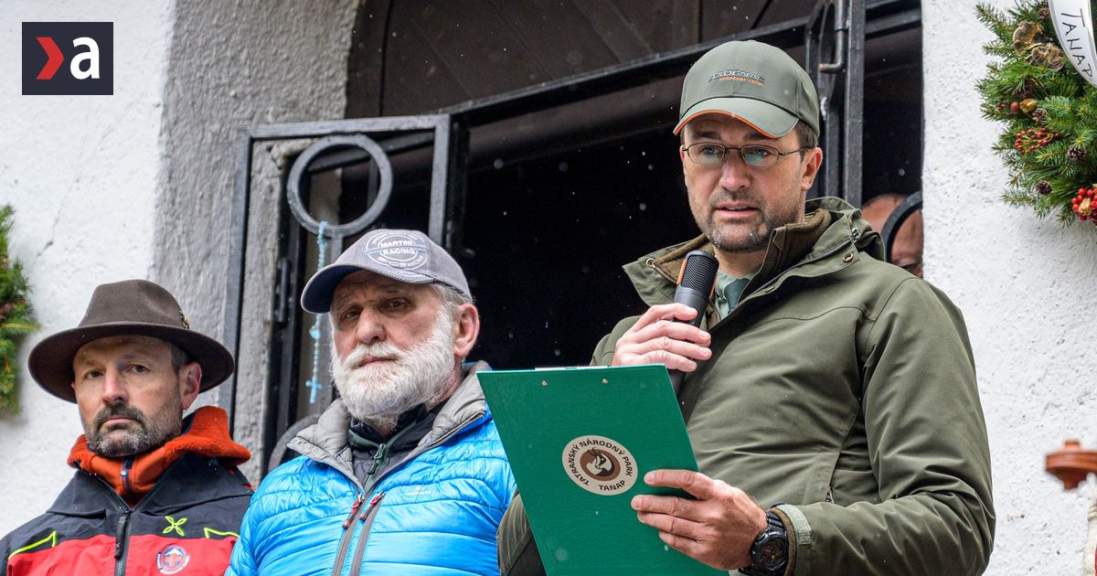 Sikana alebo tvrda ruka v TANAPe