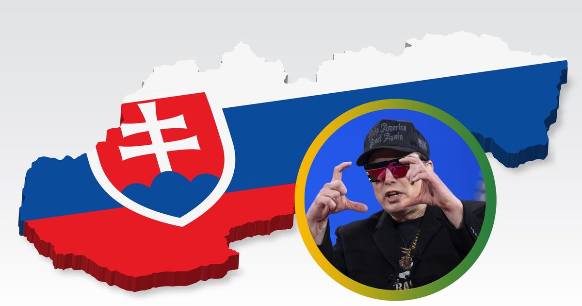 Slovakov mozete vymazat Musk je prednejsi hlasila AI sluzba Uz ju opravili