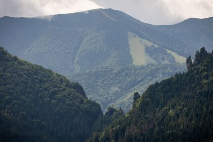 Slovenski vedci odhalili co nici nase lesy