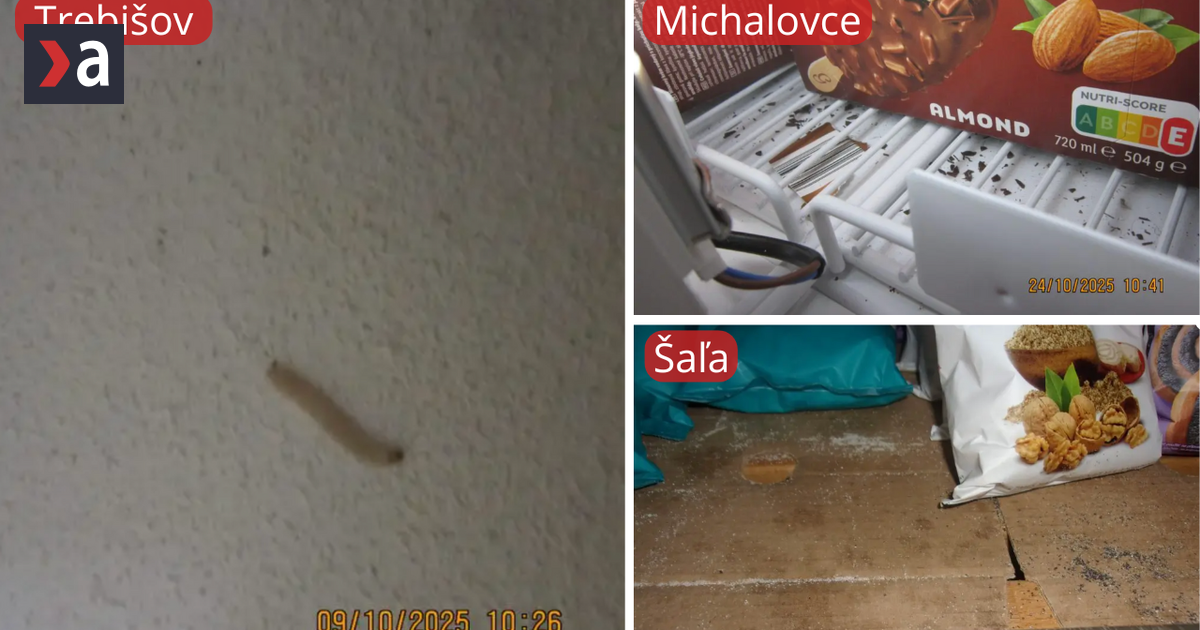 Zive larvy plesne a stare jedlo Obchody pod drobnohladom hygienikov