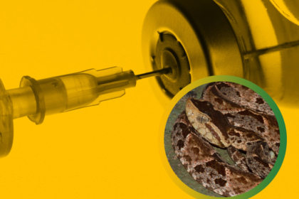 Porazila pandemiu ucinkuje aj na hadi jed