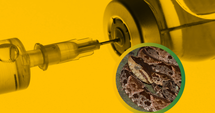 Porazila pandemiu ucinkuje aj na hadi jed