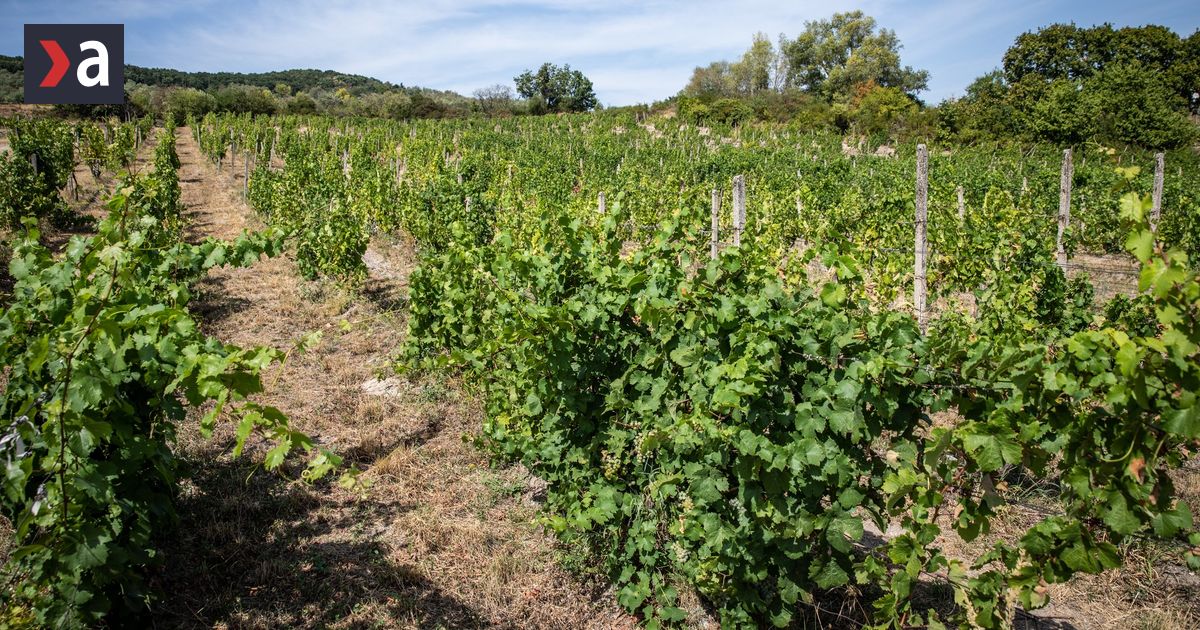 Kradol hrozno a pravdepodobne usiel za ocean Slovaka s milionovymi dlhmi hladaju veritelia aj sudy