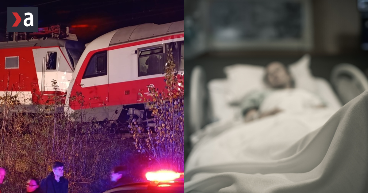 Michaela prisla pri nehode vlakov o oblicku na odskodne cakala sedmice