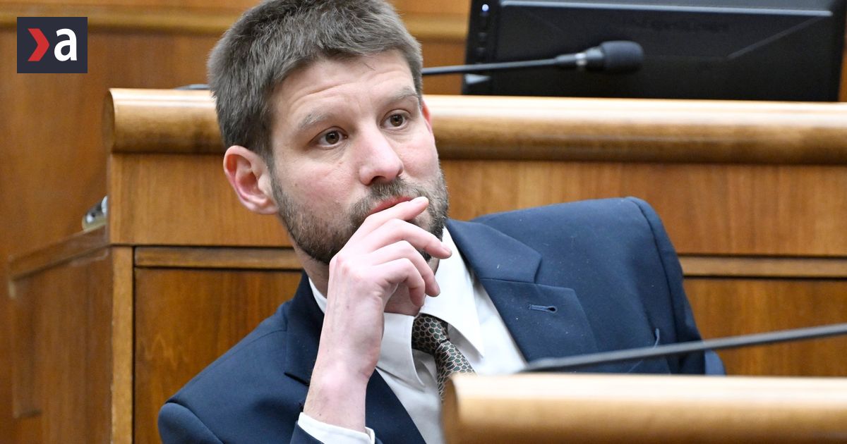 Michal Simecka je presvedceny ze jeho matka moze celit sudnemu konaniu Smer predstavil novu teorii o tom kam sa podeli peniaze
