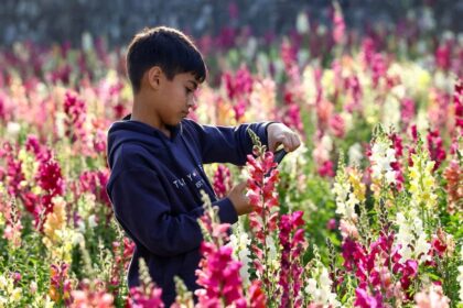 Socialne siete experimentuju na detoch nazor Victora Breinera