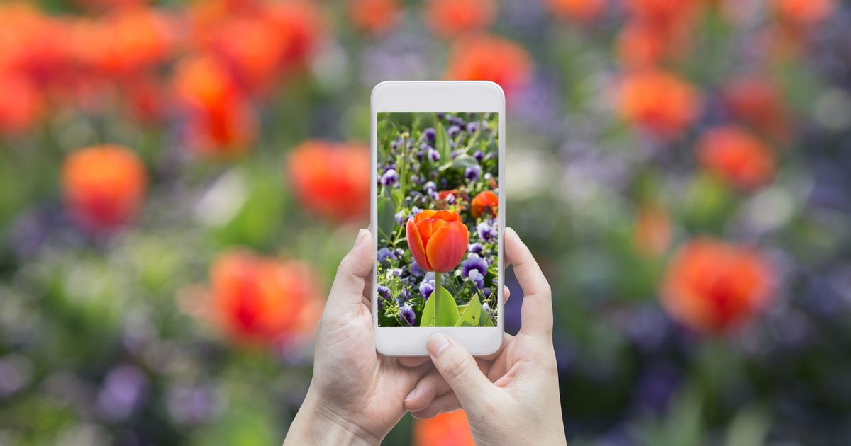 Je tu jar Najvyssi cas odfotografovat si bezecke tenisky a olajkovat snezienky