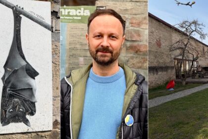 Slucka pre kulturu v krajskom meste Fond u Simkovicovej vzal oblibenemu centru tretinu rozpoctu