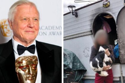 David Attenborough oslavoval 100 rokov Nepoucitelnaj chovatelske zhabali psy z biednych podmienok EKOverber
