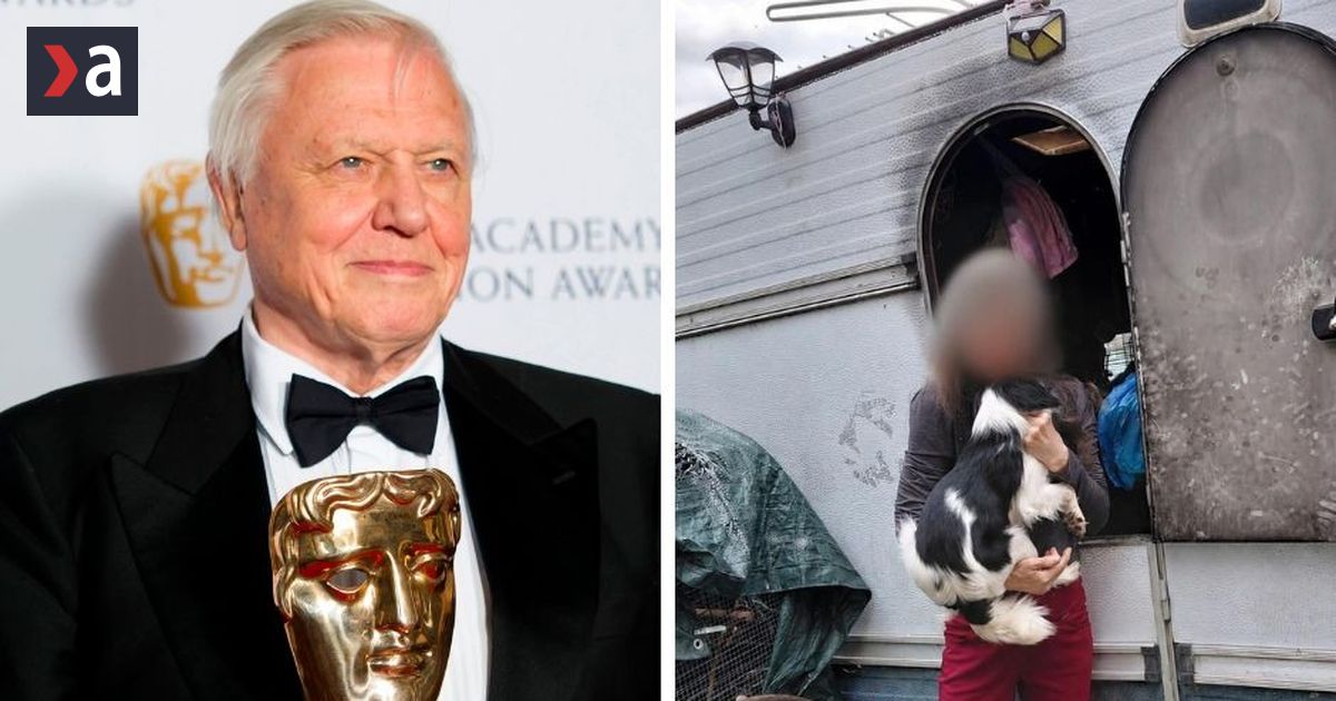 David Attenborough oslavoval 100 rokov Nepoucitelnaj chovatelske zhabali psy z biednych podmienok EKOverber