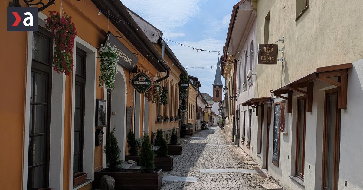 Prenajmy mestske priestory v Kosiciach Zmluvy su zastarane niektore priestory chatraju