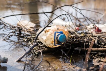 Vedci biju na poplach V severnej Evrope zaznamenali zdravotne problemy sposobene klimatickymi zmenami