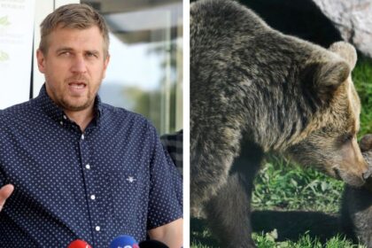 Velky monitoring medvedov Filip Kuffa sluboval sedemtisic vzoriek minister Taraba este viac Co priznali statni ochranari