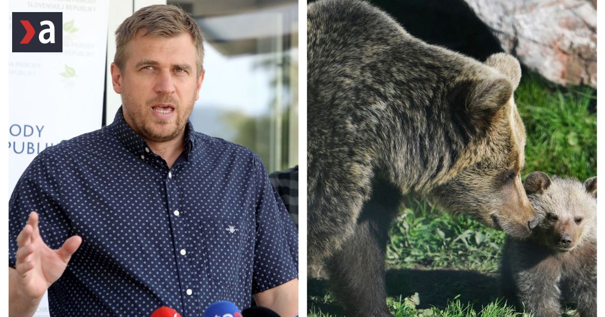 Velky monitoring medvedov Filip Kuffa sluboval sedemtisic vzoriek minister Taraba este viac Co priznali statni ochranari