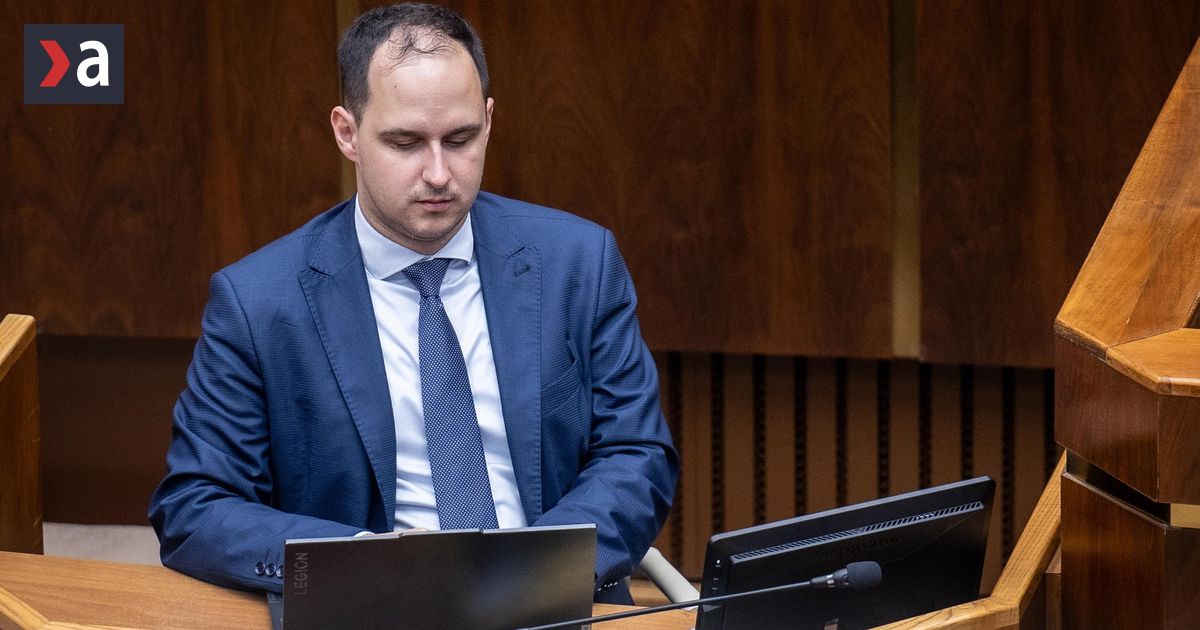 Volby 2026 Proti Anne Belousovovej byvalej clenke SNS postavili narodnari Adama Lucanskeho