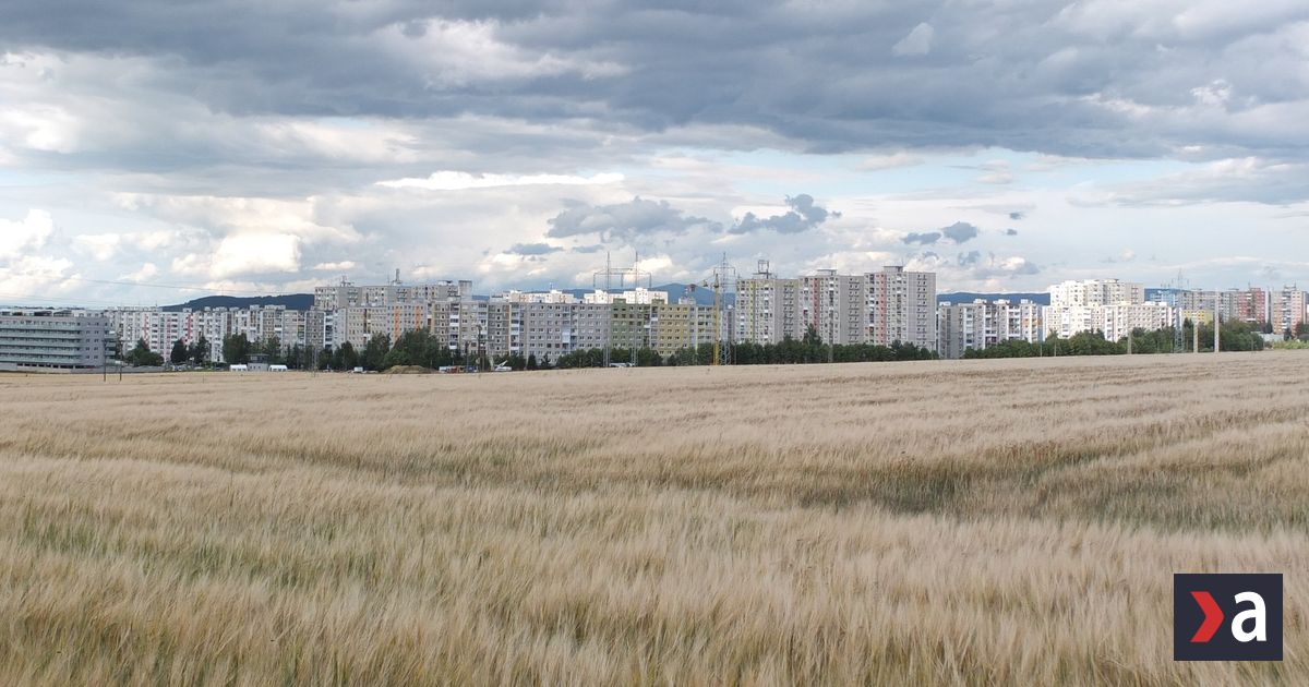 Zmiznute peniaze v Poprade Z uctov bytoviek zmizla obrovska suma spravca celi vysetrovaniu