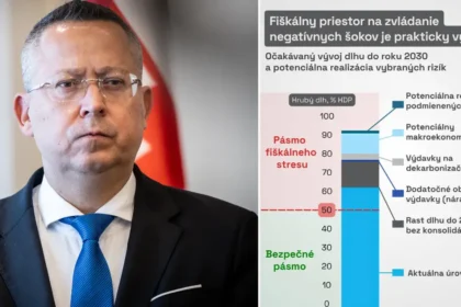 Slovenske verejne financie narazili na strop Dalsiu krizu pocitime ovela bolestivejsie varuje RRZ